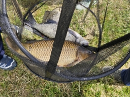689467170_1407115718114172_6292566247055175189_n